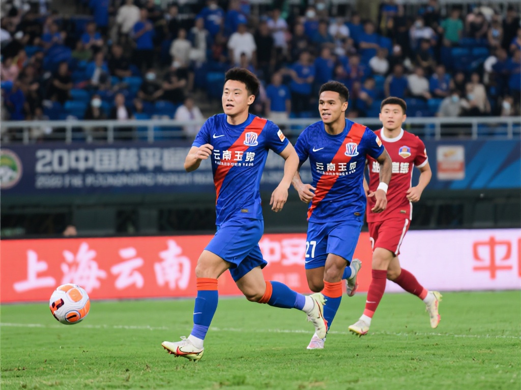 入了无数经 入了无数经